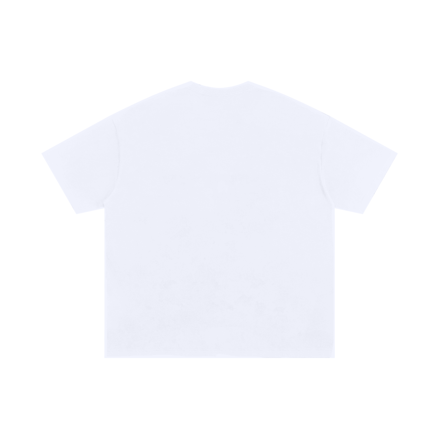 Fabian Galthie 250 GSM Tee
